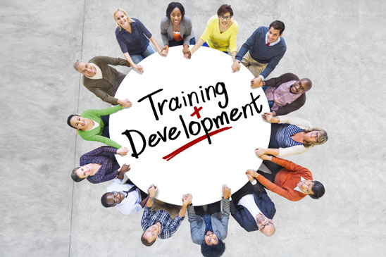 training-development-contentimage